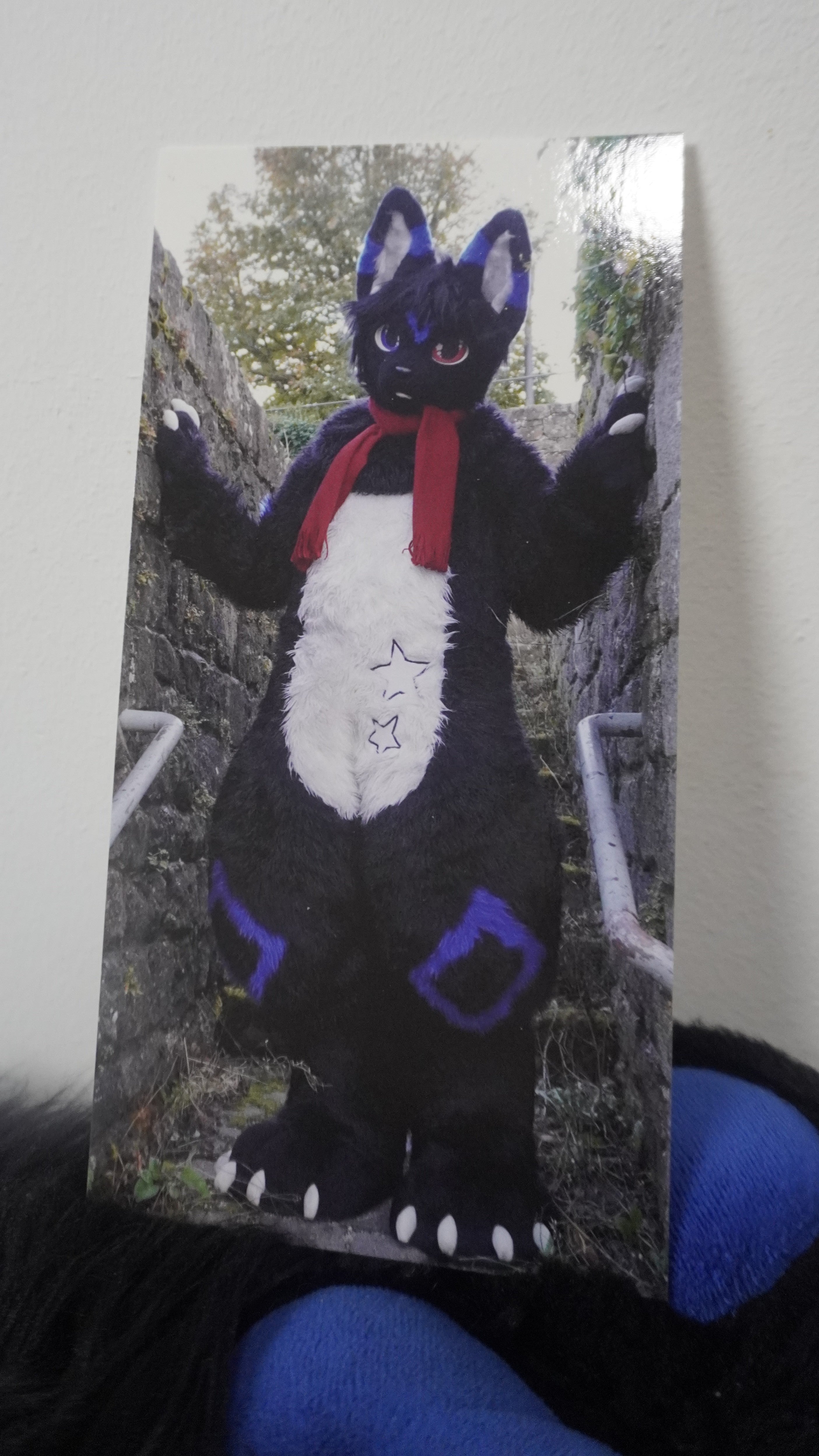 Aza Fursuit Autogrammkarte